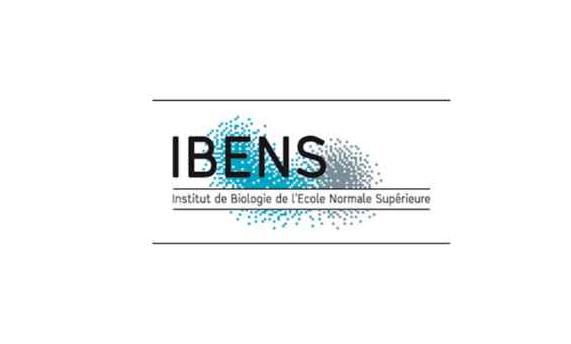 Ibens