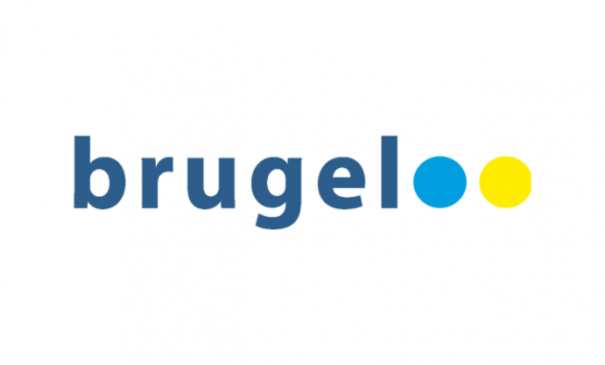 Brugel-Logo