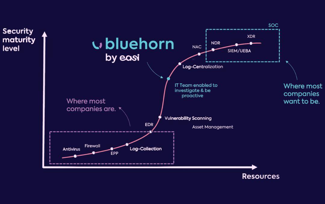 Bluehorn graphique.jpg